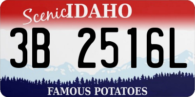 ID license plate 3B2516L