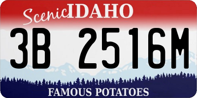 ID license plate 3B2516M