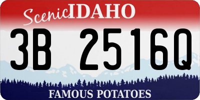 ID license plate 3B2516Q