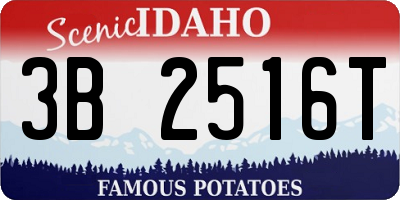 ID license plate 3B2516T