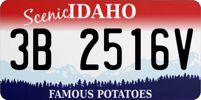 ID license plate 3B2516V