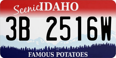 ID license plate 3B2516W