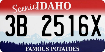 ID license plate 3B2516X