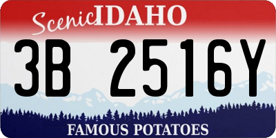 ID license plate 3B2516Y