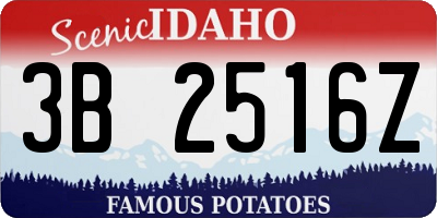 ID license plate 3B2516Z