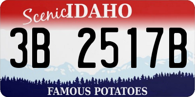 ID license plate 3B2517B
