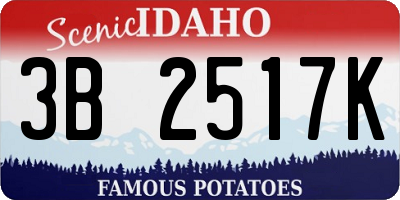 ID license plate 3B2517K