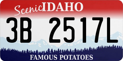 ID license plate 3B2517L