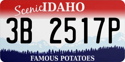 ID license plate 3B2517P