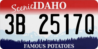ID license plate 3B2517Q