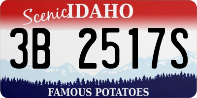 ID license plate 3B2517S