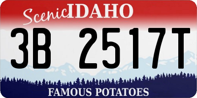 ID license plate 3B2517T