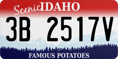 ID license plate 3B2517V
