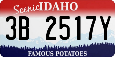 ID license plate 3B2517Y