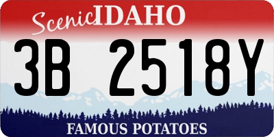 ID license plate 3B2518Y