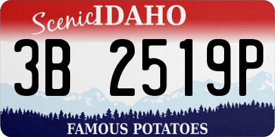 ID license plate 3B2519P