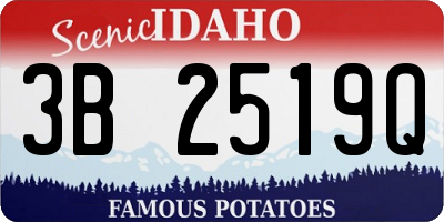 ID license plate 3B2519Q
