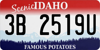 ID license plate 3B2519U