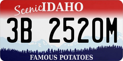 ID license plate 3B2520M