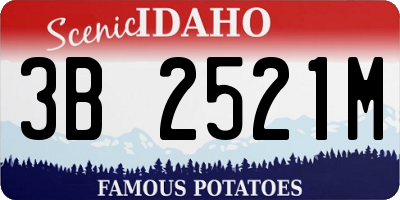 ID license plate 3B2521M