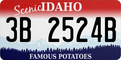 ID license plate 3B2524B