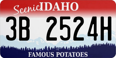 ID license plate 3B2524H