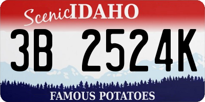 ID license plate 3B2524K