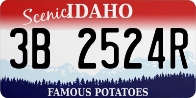 ID license plate 3B2524R