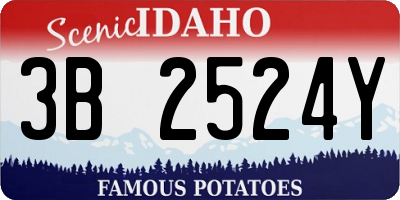 ID license plate 3B2524Y