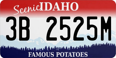 ID license plate 3B2525M