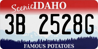 ID license plate 3B2528G