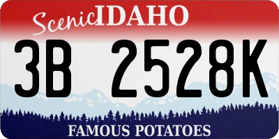 ID license plate 3B2528K