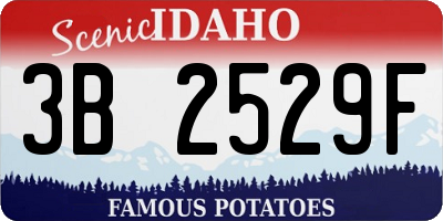 ID license plate 3B2529F
