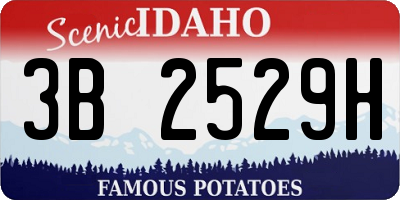 ID license plate 3B2529H