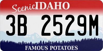 ID license plate 3B2529M