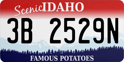 ID license plate 3B2529N