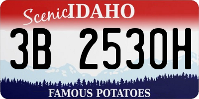 ID license plate 3B2530H