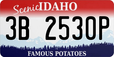 ID license plate 3B2530P