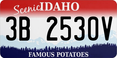ID license plate 3B2530V
