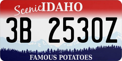 ID license plate 3B2530Z