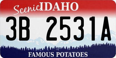 ID license plate 3B2531A