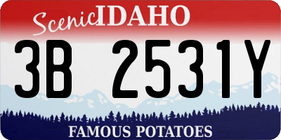 ID license plate 3B2531Y
