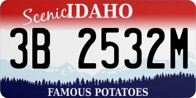 ID license plate 3B2532M