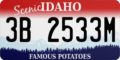 ID license plate 3B2533M