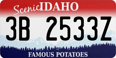 ID license plate 3B2533Z