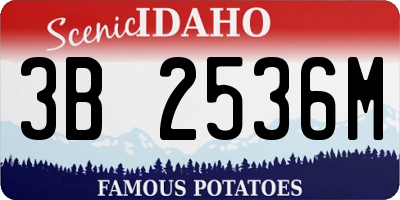 ID license plate 3B2536M