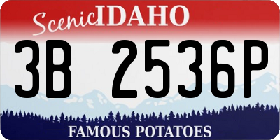 ID license plate 3B2536P
