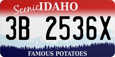 ID license plate 3B2536X