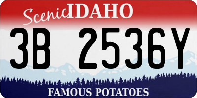 ID license plate 3B2536Y