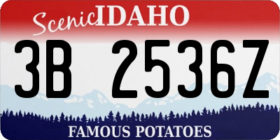 ID license plate 3B2536Z